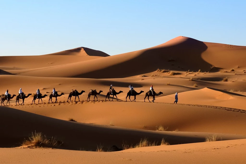 Sahara jest największym źródłem atmosferycznego pyłu na świecie