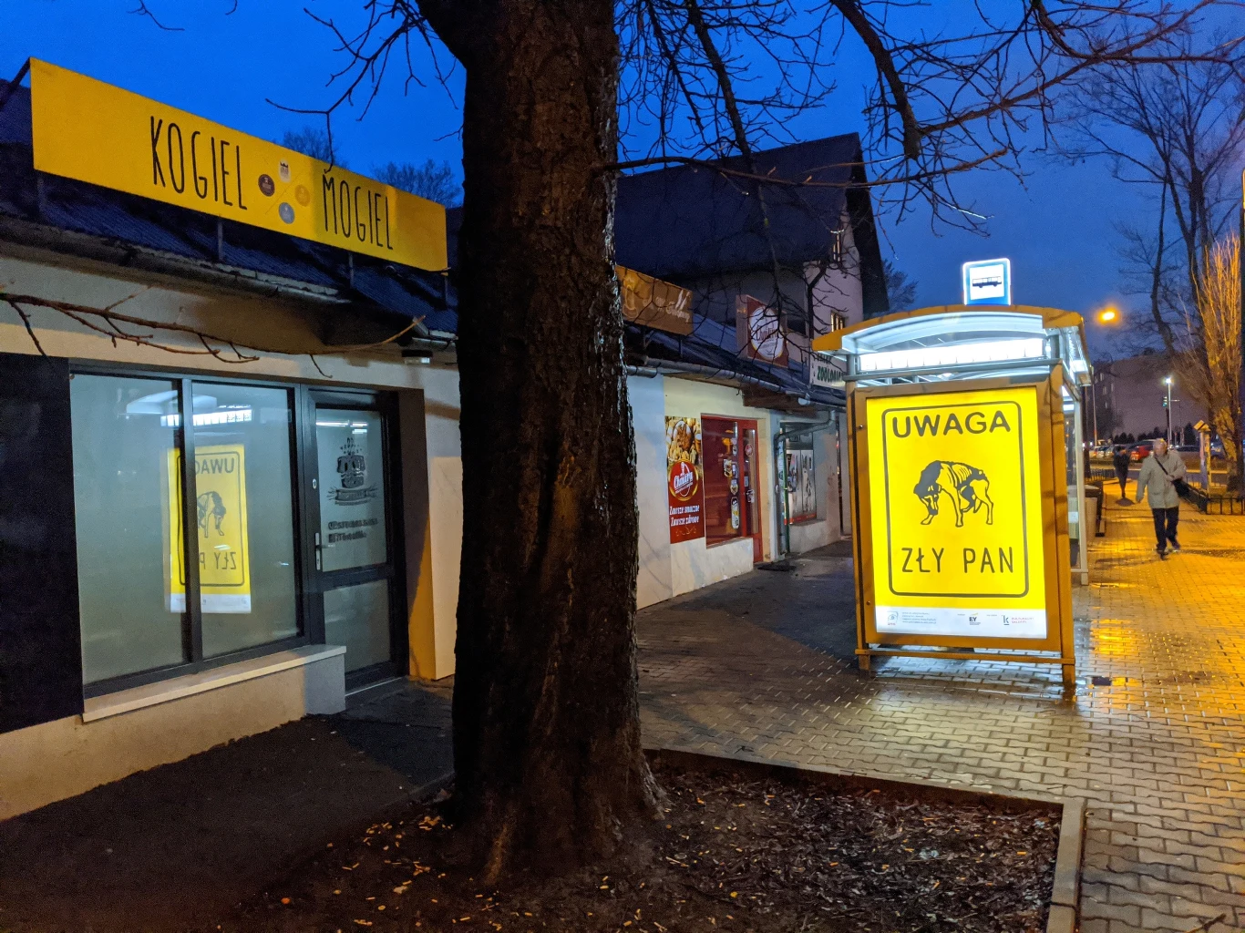 Zdjęcie wykonane smartfonem Pixel 4XL