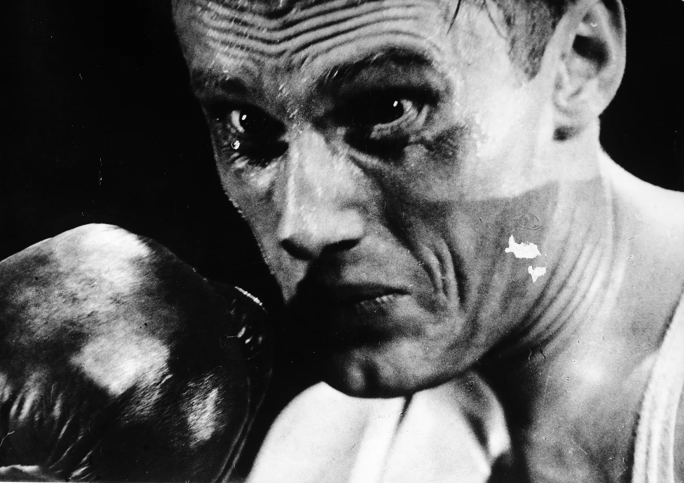 W 1966 roku Olbrychski zagrał główną rolę w filmie Juliana Dziedzina "Bokser", w którym wcielił się w obiecującego pięściarza. Na planie aktor miał przyjemność pracować z legendarnymi polskimi bokserami.

"Trener Stamm po filmie 'Bokser' namawiał mnie, żebym na dwa lata zostawił aktorstwo, a przygotuje mnie do Mistrzostw Europy w wadze półśredniej. No ale miałem za dużo ciekawych propozycji, żeby zrezygnować z grania" - opowiadał aktor.

Do dziś hobbystycznie kontynuuue przygodę z boksem. "W domu mam salkę bokserską. Ćwiczę regularnie 45 minut dziennie" - mówił w 2019 roku.