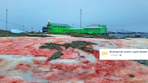 Arbuzowy śnieg wokół stacji badawczej na antarktycznej wyspie Galindez 