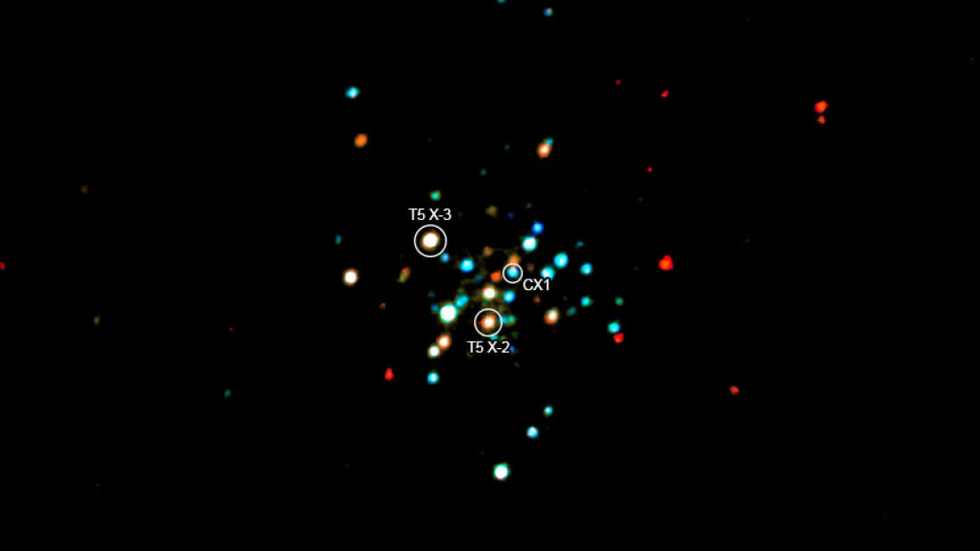 Trzy układy rentgenowskie o niskiej masie w gromadzie Terzan 5 Trzy układy rentgenowskie o niskiej masie w gromadzie Terzan 5