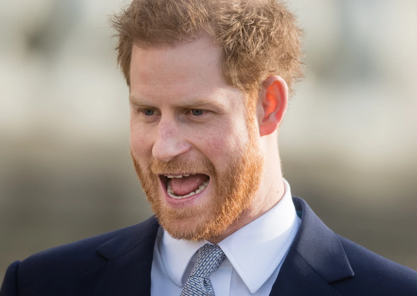 Książę Harry Książę Harry