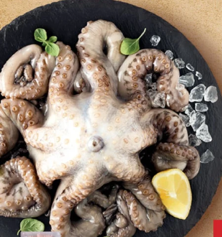 Mrożona ośmiornica