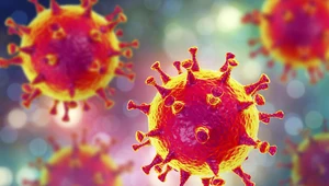 Mity, prawdy i półprawdy na temat koronawirusa z Chin
