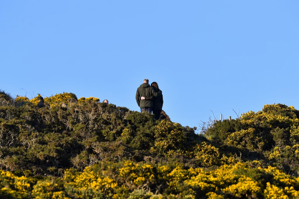Kate i William w Irlandii Kate i William w Irlandii