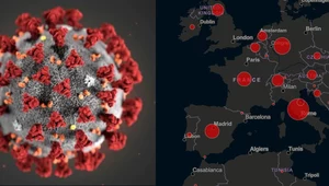 Mapa koronawirusa - szybki dostęp do najważniejszych informacji