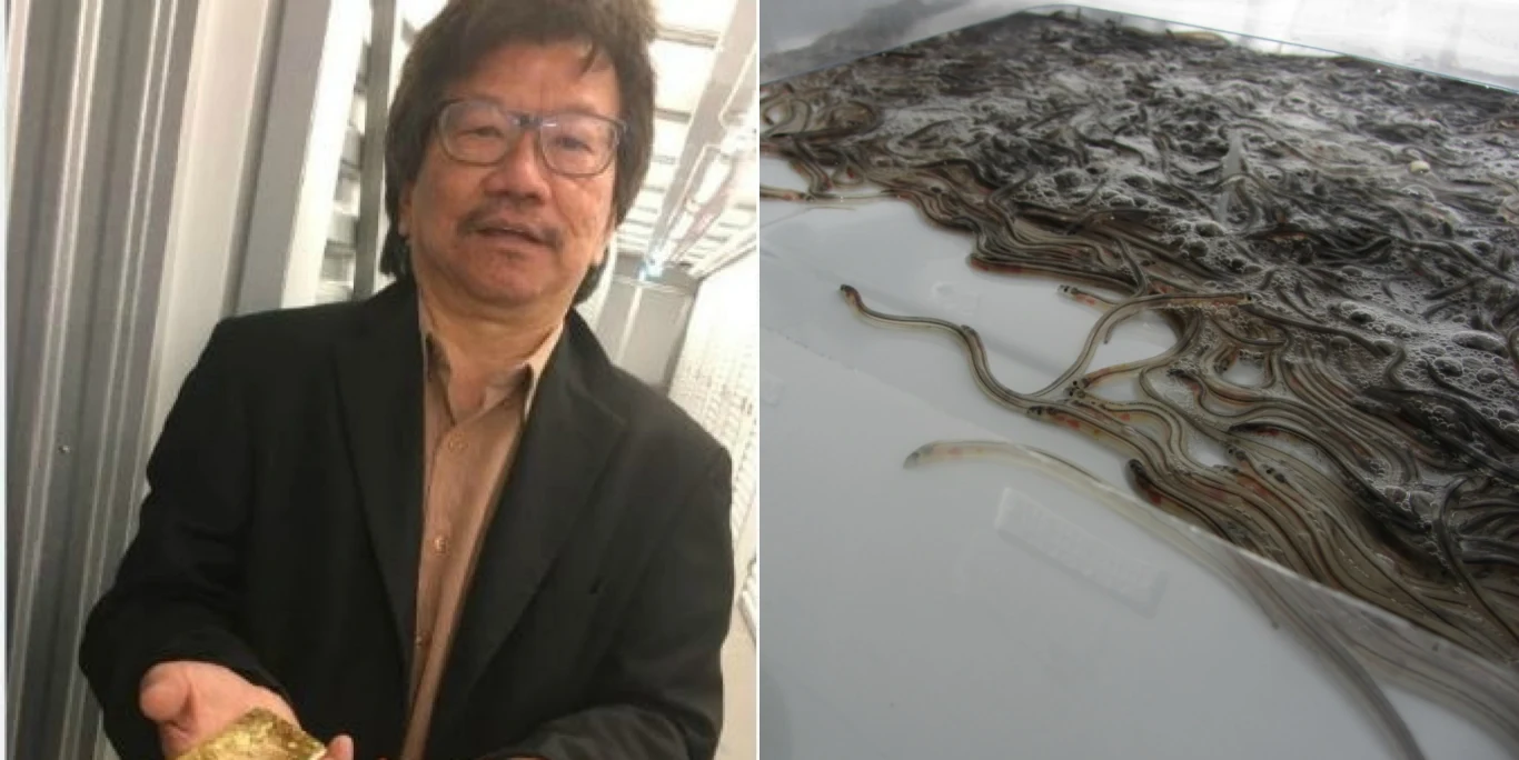 Przez dwa lata Gilbert Khoo wywiózł z kraju ryby o wartości prawie 70 milionów dolarów Przez dwa lata Gilbert Khoo wywiózł z kraju ryby o wartości prawie 70 milionów dolarów