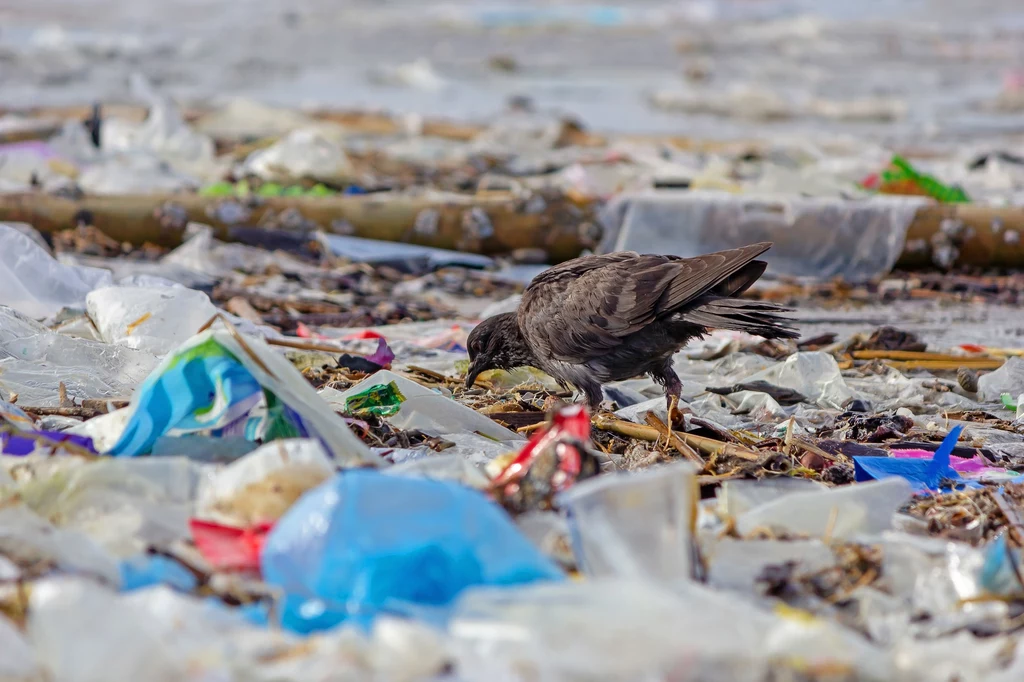 Ziemia tonie w plastikowych śmieciach