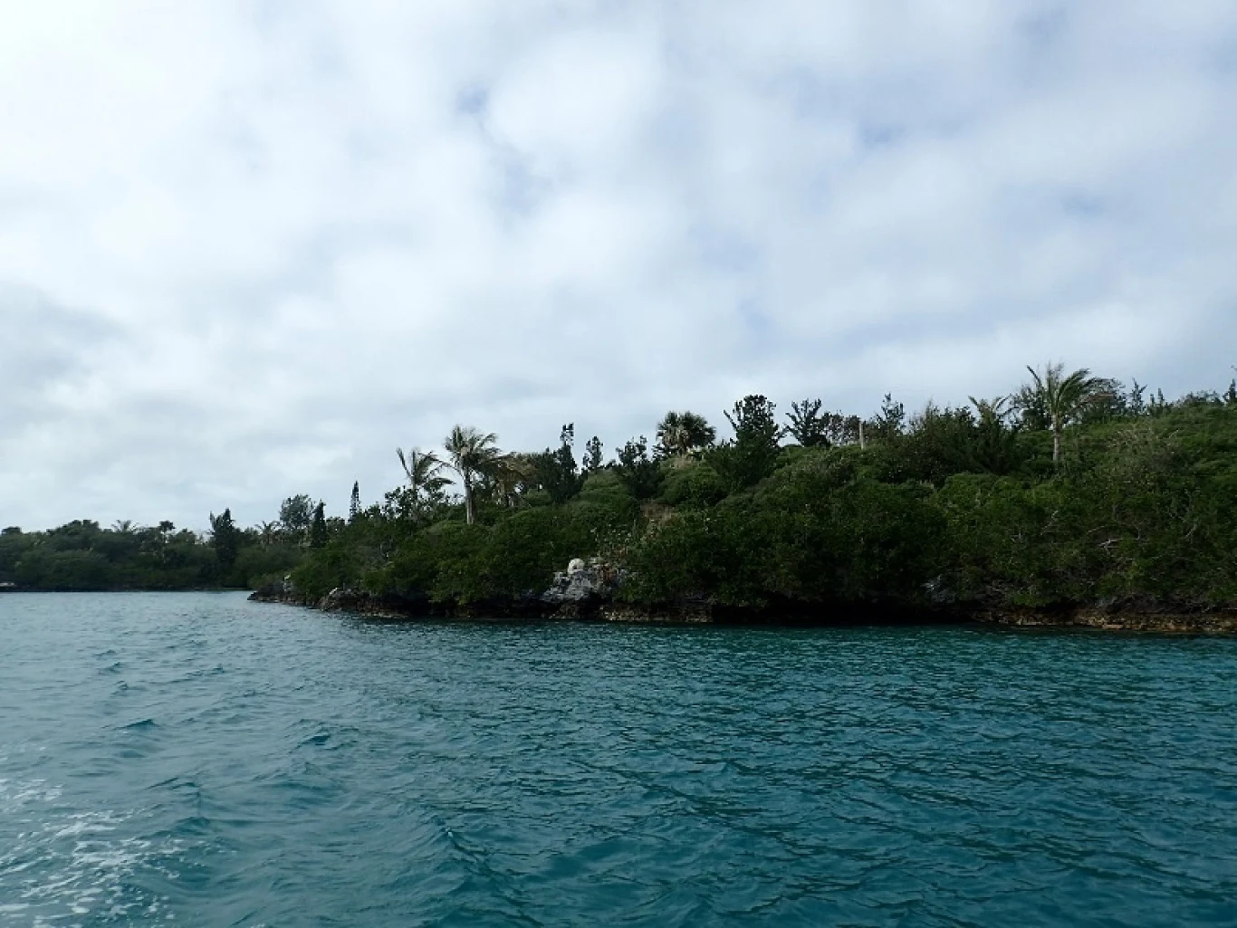 To pierwszy w historii przypadek reintrodukcji ślimaków na tych egzotycznych wyspach.