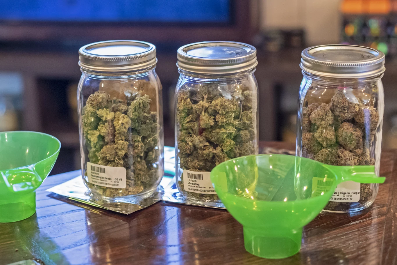 Medyczna marihuana jest legalna w wielu krajach na świecie