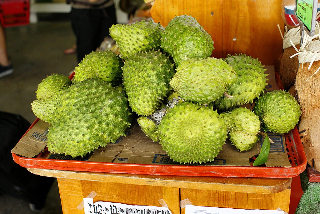 Annona graviola - owoc o cudownych właściwościach leczniczych