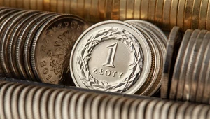 Złoty pod presją. Co dalej z polską walutą? 