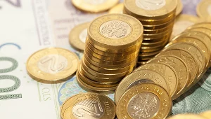 W czwartek złoty zyskiwał w stosunku do dolara i tracił w stosunku do euro. Zdj. ilustracyjne