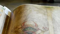 W Codex Gigas zawarto cały Stary i Nowy Testament, traktaty medyczne, kronikę czeskich dziejów, słynne rozprawy oraz tajemnicze zaklęcia i opisy rytuałów. Na jednej z ostatnich kart kodeksu widnieje słynny, zajmujący całą stronę wizerunek diabła, od którego wzięła się nazwa „Biblia Diabła” oraz legenda o stworzeniu dzieła w jedną noc dzięki paktom z nieczystymi siłami.