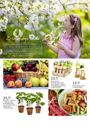 Katalog Ogród 2020 - OBI