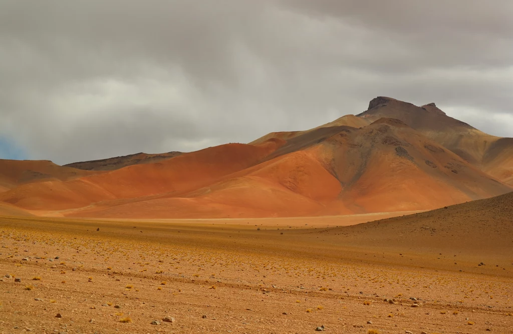 Nic dziwnego, to część płaskowyżu Altiplano, gdzie na wysokości ok 3700 m npm roślinność jest bardzo uboga (tzw. sucha puna). Nic dziwnego, to część płaskowyżu Altiplano, gdzie na wysokości ok 3700 m npm roślinność jest bardzo uboga (tzw. sucha puna).
