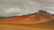 Nic dziwnego, to część płaskowyżu Altiplano, gdzie na wysokości ok 3700 m npm roślinność jest bardzo uboga (tzw. sucha puna).