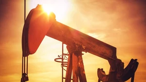 Kraje OPEC+ podjęły decyzję, że będą kontynuować zmniejszone wydobycie ropy do marca 2024 r.
