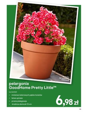Katalog Ogród 2020 Castorama