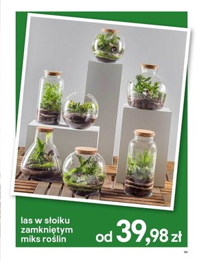 Katalog Ogród 2020 Castorama