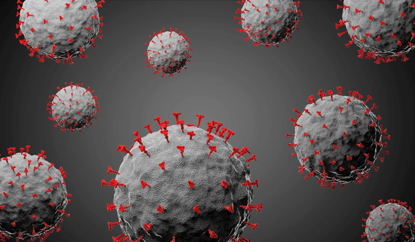 WHO nie wie, jak długo jesteśmy odporni na ponowne zachorowanie na COVID-19 WHO nie wie, jak długo jesteśmy odporni na ponowne zachorowanie na COVID-19