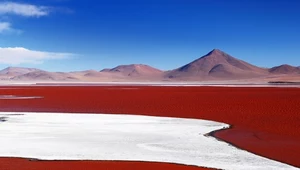 Laguna Colorada 