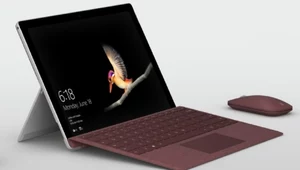 Surface Go 2 – specyfikacja trafia do sieci