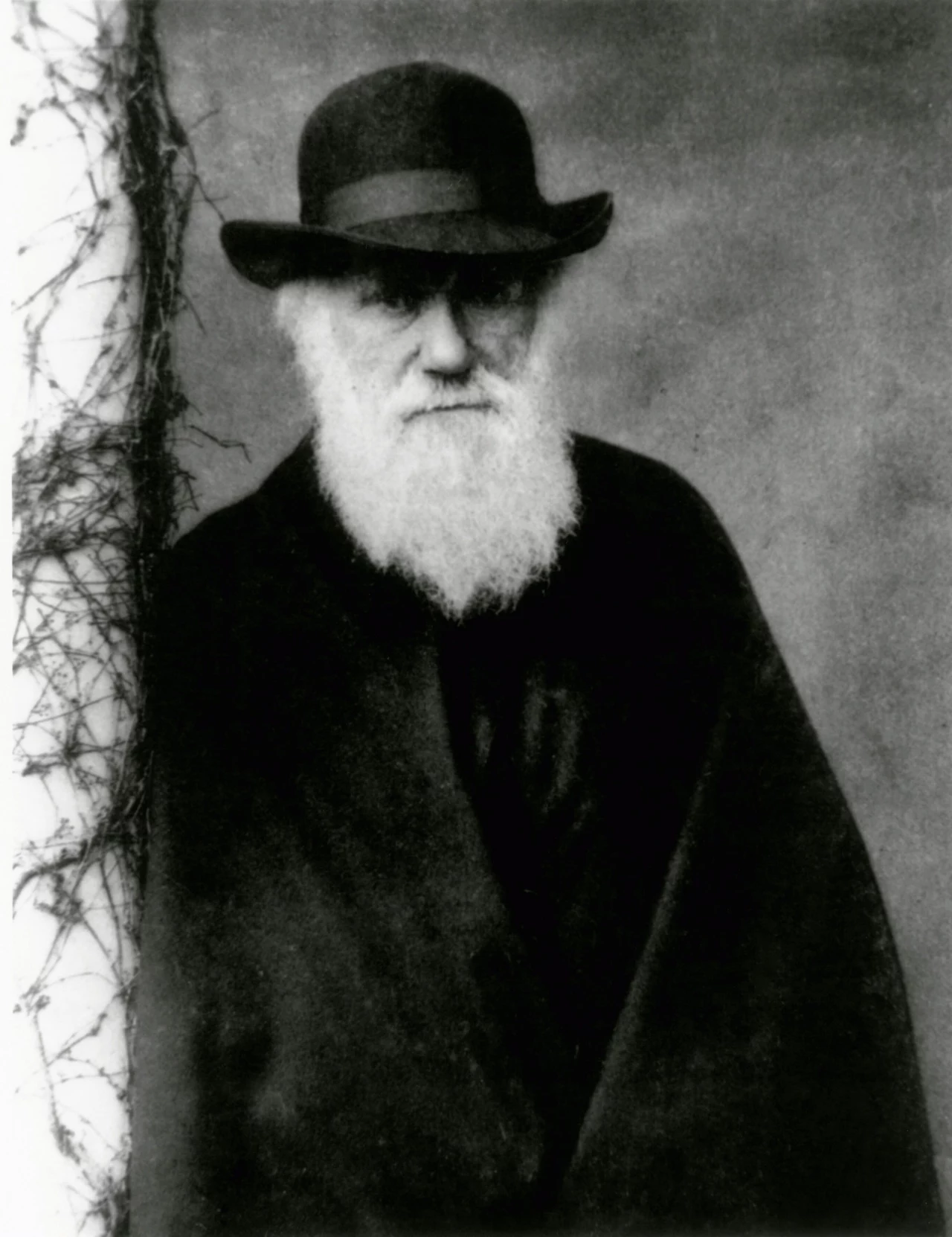 Charles Robert Darwin brytyjski przyrodnik i geolog, twórca teorii ewolucji