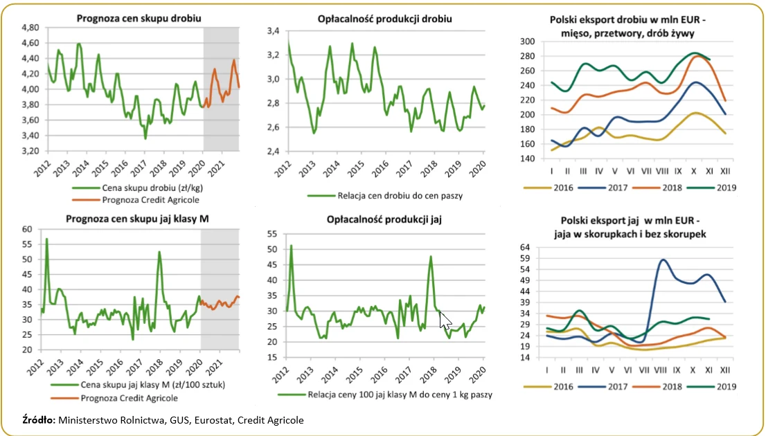 Polska ważnym producentem drobiu w UE Polska ważnym producentem drobiu w UE