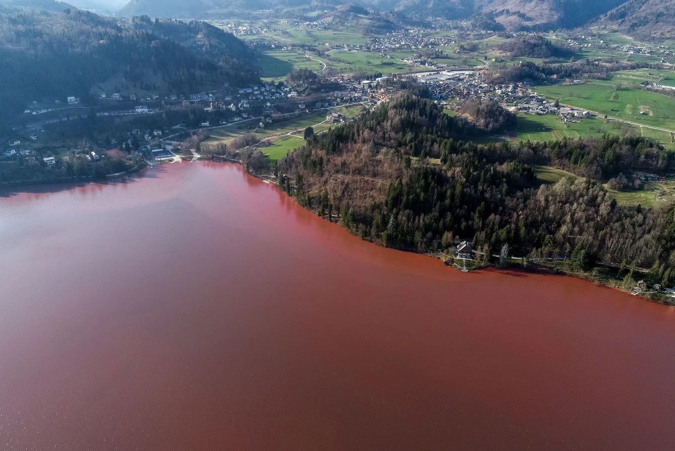 Normalnie tafla Bled ma kolor niebiesko-zielony, jednak w połowie marca woda przybrała barwę czerwieni. Normalnie tafla Bled ma kolor niebiesko-zielony, jednak w połowie marca woda przybrała barwę czerwieni.