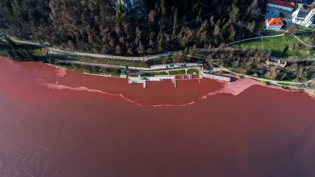 Bled to polodowcowe jezioro alpejskie znajdujące się w północnej części Słowenii.