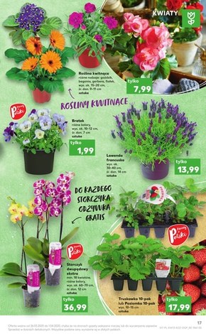 Gazetka promocyjna Kaufland