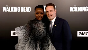 Danai Gurira, Andrew Lincoln