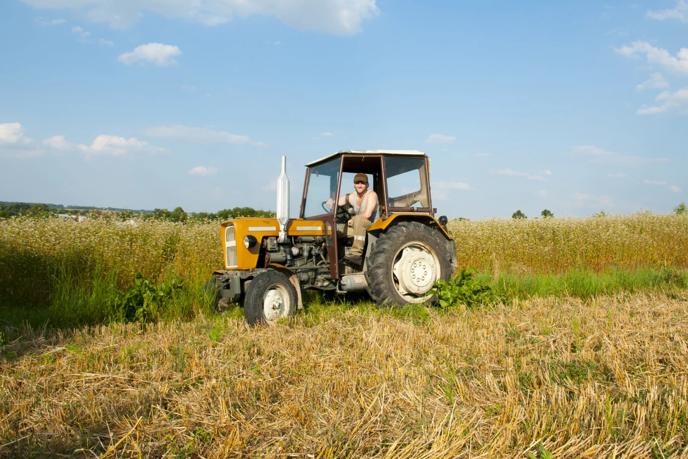Od 1 marca 2023 wysokość podstawowej emerytury rolniczej uległa waloryzacji. Jej kwota została podwyższona do 90 proc. najniższej emerytury wypłacanej przez ZUS Od 1 marca 2023 wysokość podstawowej emerytury rolniczej uległa waloryzacji. Jej kwota została podwyższona do 90 proc. najniższej emerytury wypłacanej przez ZUS
