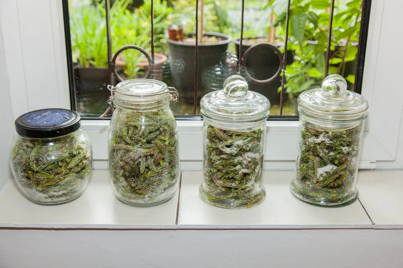 Działa lepiej niż apteczne syropy na kaszel. Mama i babcia robiły co roku Działa lepiej niż apteczne syropy na kaszel. Mama i babcia robiły co roku