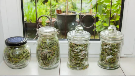 ​Działa lepiej niż apteczne syropy na kaszel. Mama i babcia robiły co roku