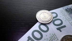 Kursy walut. Ile zapłacimy za dolara, euro i franka? Zdj. ilustracyjne