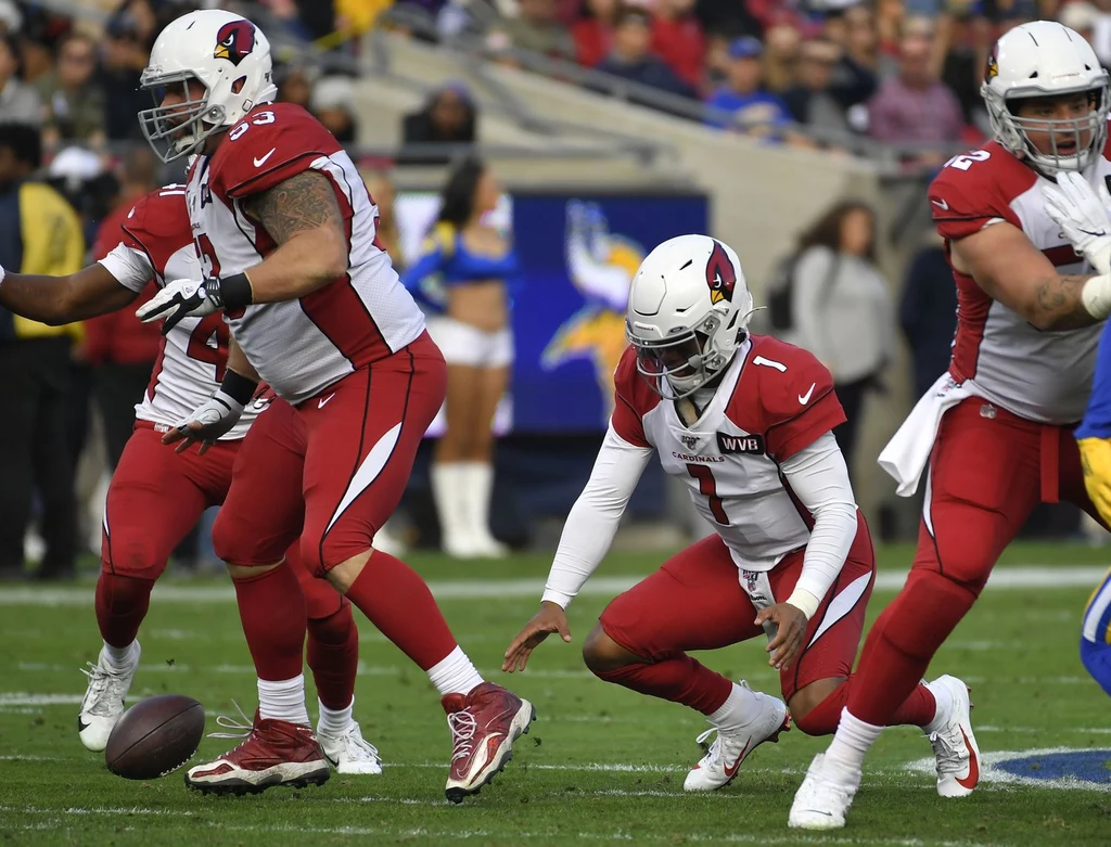Zawodnicy Arizona Cardinals