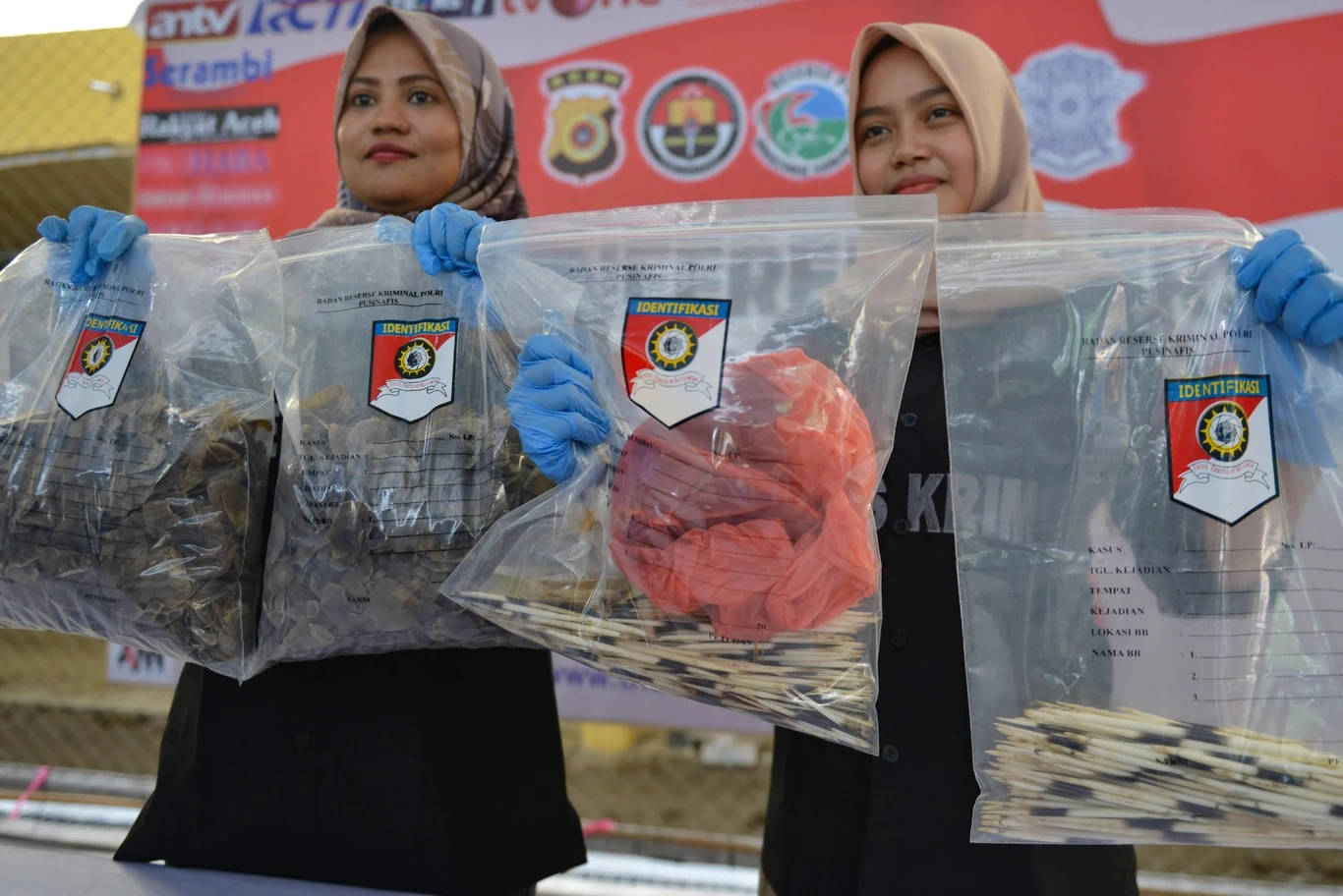 Właśnie tego zdania jest Elisa Panjang z Cardiff University, oficer ochrony łuskowców w Danau Girang Field Center w Malezji, która podkreśla że nie wystarczą działania lokalne. Tu potrzebne jest zaangażowanie władz międzynarodowych.