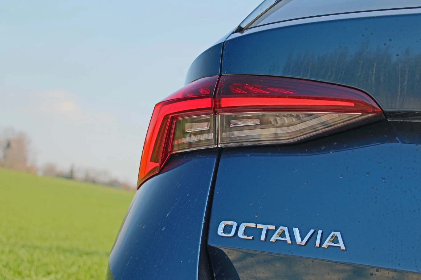 Tylne światła najbardziej odróżniają nową Octavię od poprzedniczki. Są w pełni diodowe i mają dynamiczne kierunkowskazy.