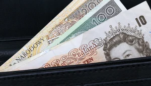 Dziecko wydało ogrom pieniędzy z konta swojej matki na przedmioty w popularnej grze