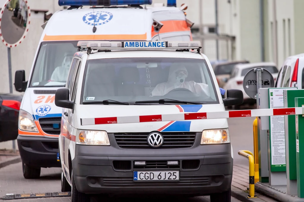 W Polsce panuje epidemia koronawirusa W Polsce panuje epidemia koronawirusa