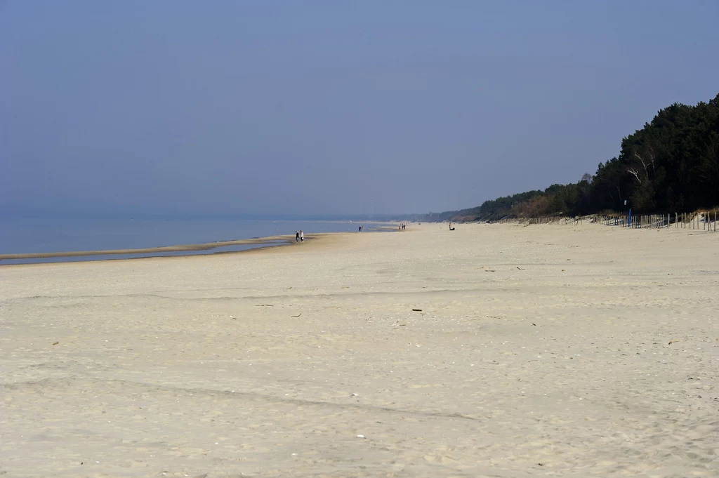Plaża na Mierzei Wiślanej