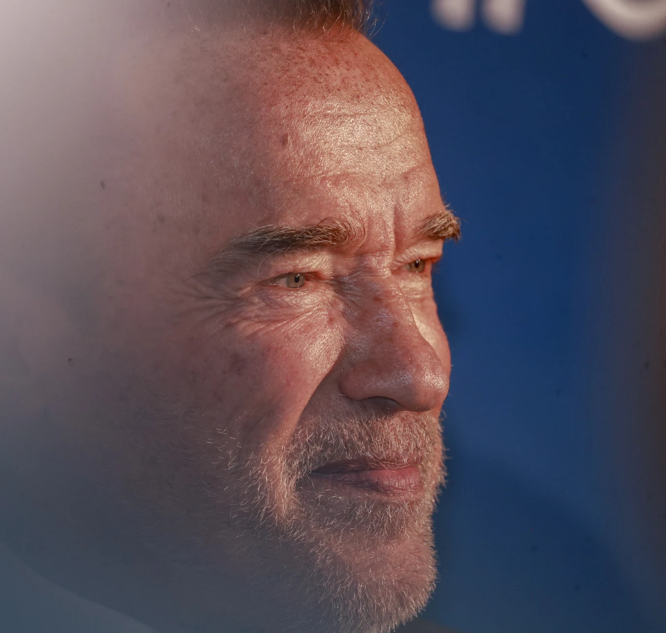 Arnold Schwarzenegger Arnold Schwarzenegger