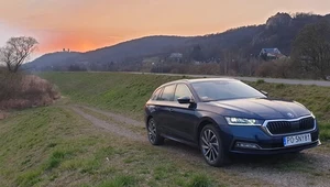 Nowa Skoda Octavia. Zamiast na Krecie, pojawiła się w... Krakowie