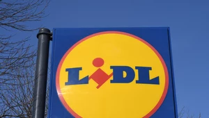Lidl jest zainteresowany budową centrum dystrybucyjnego w Gietrzwałdzie. Napotkał na opór lokalnej społeczności 