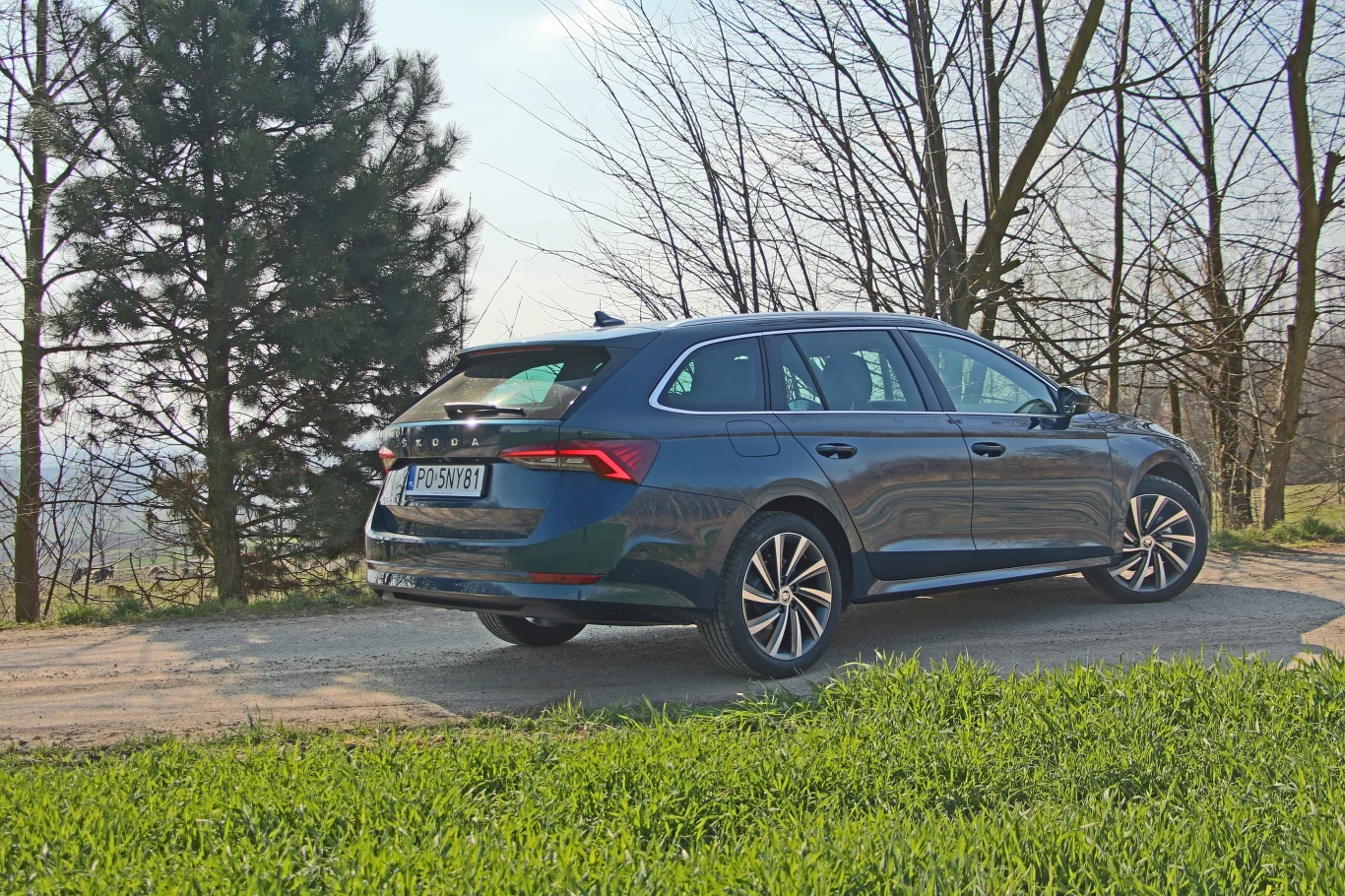 Tradycyjnie Octavia występuje jako liftback oraz kombi - oba bardzo praktyczne. W późniejszym czasie do gamy dołączy też wersja Scout, czyli podwyższone kombi, dla osób zjeżdżających czasem z asfaltowych dróg.