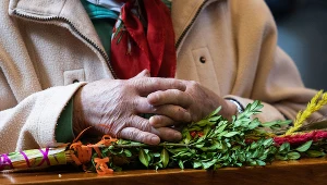 Palma wielkanocna, zdjęcie ilustracyjne