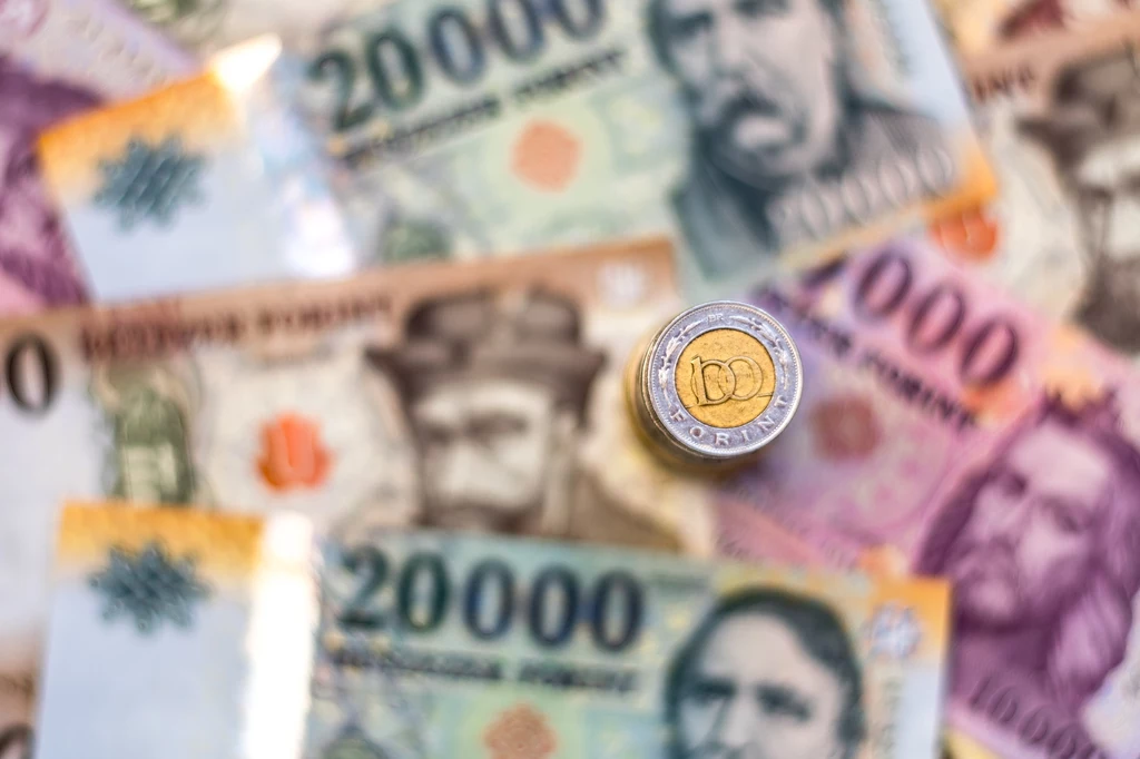 Narodowy Bank Węgier zdecydował się na kolejną obniżkę stóp procentowych