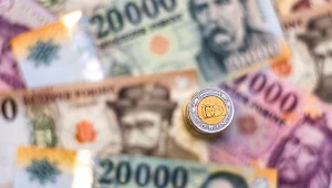 Narodowy Bank Węgier zdecydował się na kolejną obniżkę stóp procentowych
